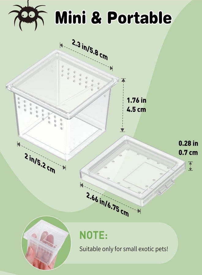 Pawfly 10 Pcs Mini Spider Terrarium Breeding Box, Transparent Plastic Jumping Spider Enclosure Cricket Keeper Tarantula Enclosure, Small Reptile Hatching Container for Scorpion Centipede Gecko Mantis - Image 2